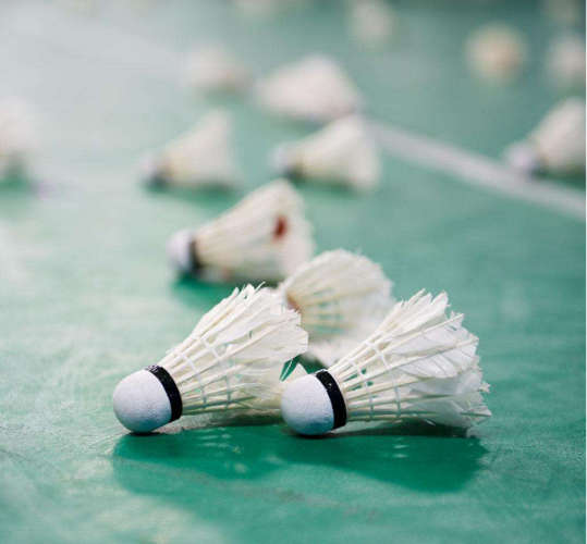 冬季保养羽毛球的小秘诀