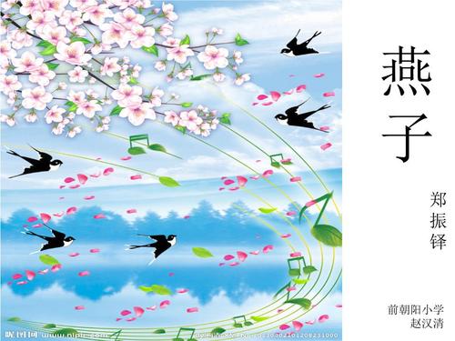燕子修改.ppt