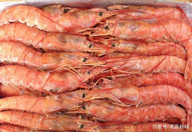 海鲜之阿根廷红虾篇