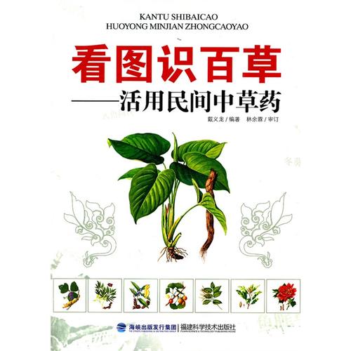 看图识百草-活用民间中草药/中药医学药学 中药煎煮的常识 正确应用