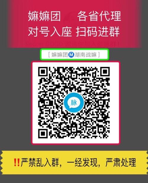 嫲嫲团各省微脉圈二维码