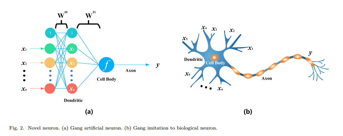 完善神经元,完善所有的神经网络,等待大家一起去研究!