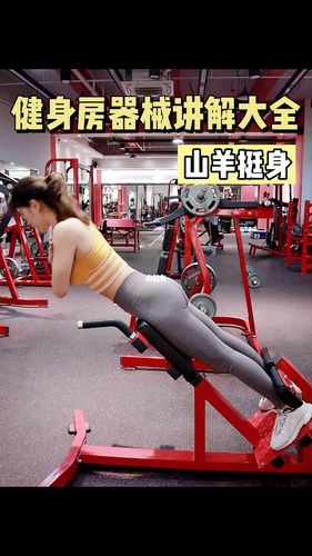 新手必看 |山羊挺身 保姆教程73加强核心上臀_教程