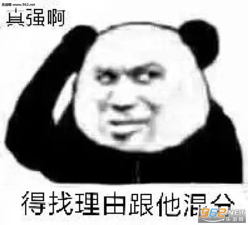 给我看看给我看看表情包