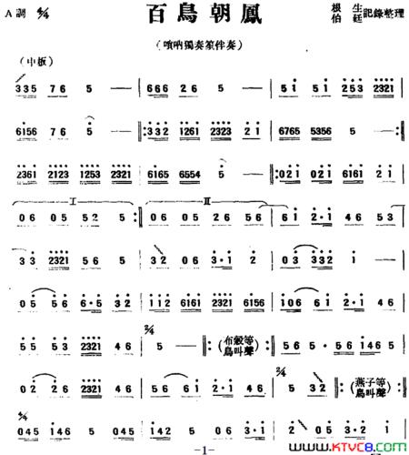 《百鸟朝凤民乐合奏》原创唢呐曲谱,根生·伯廷作曲