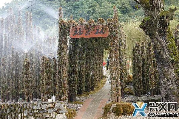 打柴山:丰富旅游新业态 乡村旅游受青睐【兴义融媒】