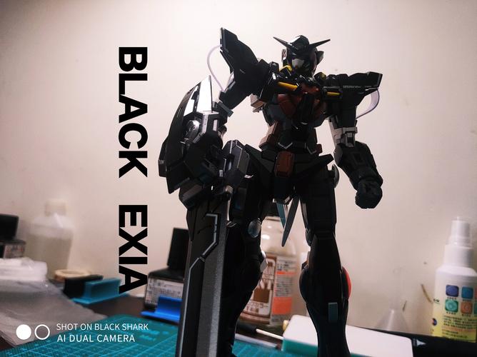 来自新手村的黑色能天使高达