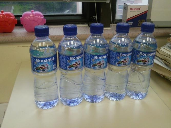 5支500ml bonaqua飞雪矿物质水