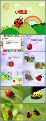幼儿园课件ppt 中班ppt课件 中班美术ppt 小结:七星瓢虫专门吃害虫