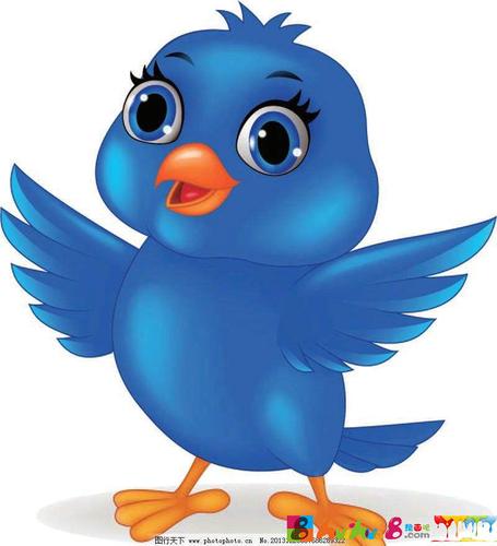 儿童简笔画,彩色涂色简笔画,可爱的小鸟简笔