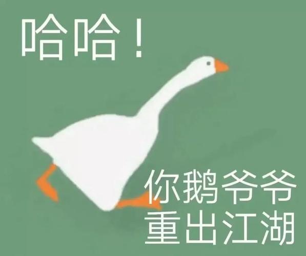 小鹅鹅鹅表情包