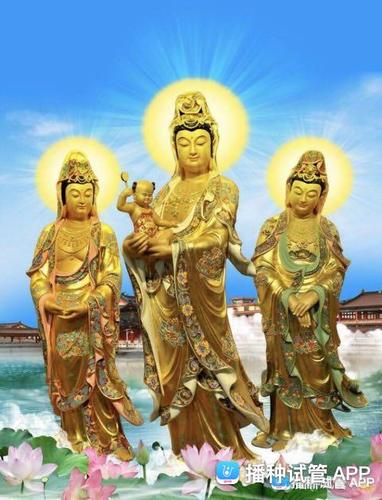 [试管婴儿]跪求大慈大悲观世音菩萨,保佑腹