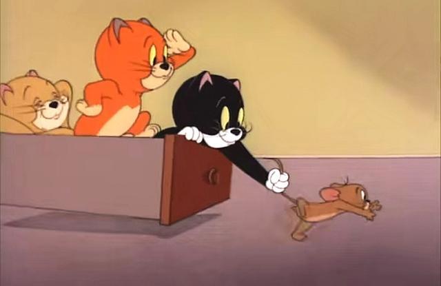 猫和老鼠:三只小猫给我们上了一课,可惜当年太年轻,想