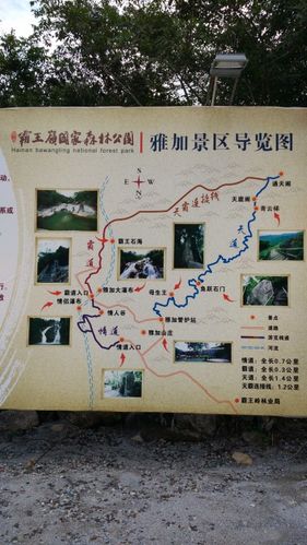 霸王岭国家森林公园图片 - 第3张