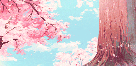 醉美樱花打卡中山浪漫樱花节桃花开了油菜花海美翻了