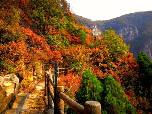 金秋醉人四方山