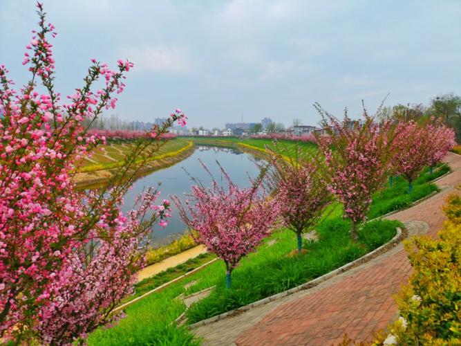 2万亩嫘祖植物园,3000亩嫘祖海棠园,11公里小洪河,沿河两岸海棠花海