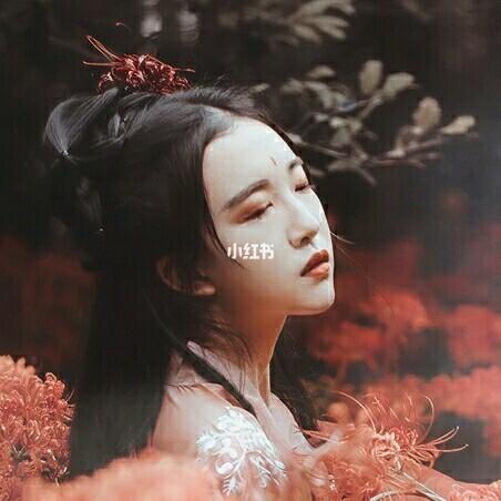 彼岸花的古风头像_古风_素材_头像