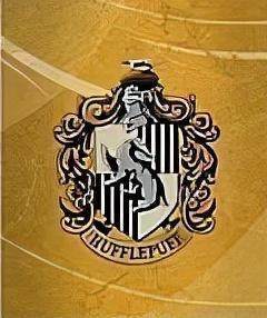 张秋和卢娜 獾院·学院性格 赫奇帕奇(又名赫夫帕夫),院徽是獾,象征着