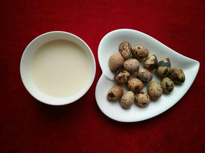 早点:补脑豆浆  五香鹌鹑蛋
