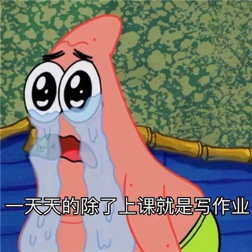 可爱沙雕表情包亲亲我的猪