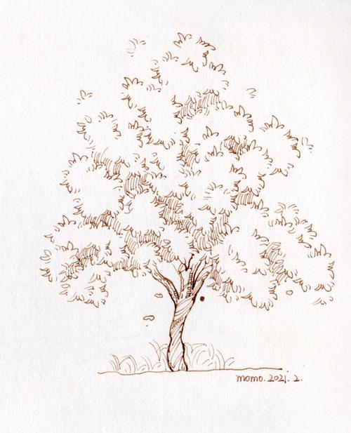 大树线稿_钢笔_钢笔淡彩_文化_绘画
