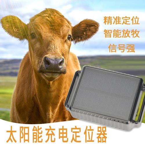 牛马羊追踪器gps定位器山区专用放牧动物追踪防水防寒