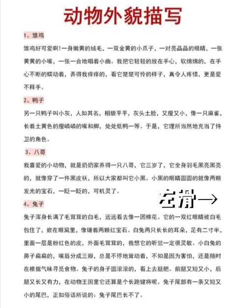 小动物的外貌描写_外貌_青山坡_金丝猴怎么样_宝石_兔子_珍珠_教育