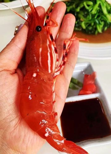 爱了?温哥华的美味担当 斑点虾老饕花样全攻略