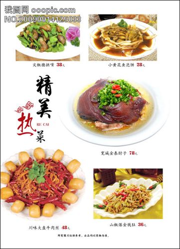 【psd】饭店家常菜菜谱20_图片编号:wli665387_菜单
