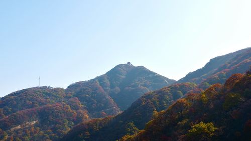桐柏山被上帝打翻了调色盘