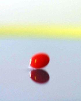 求一张只有一颗红豆的图片