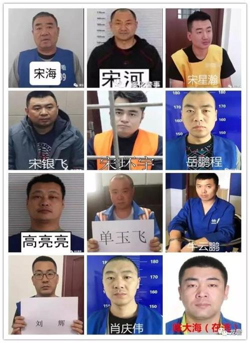 【扫黑除恶】绥化警方公开征集以宋海,宋河为首的黑恶