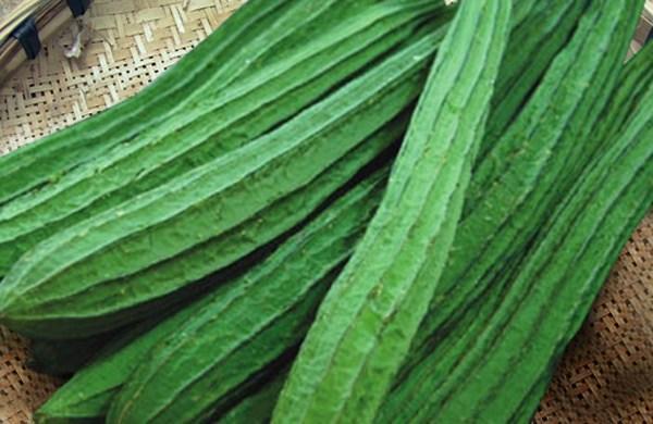 " data-lemmaid="12509296">葫芦科植物 /a> 特有的果实,如多种瓜类