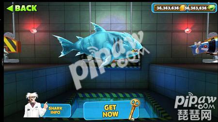 饥饿的鲨鱼进化电鲨和冰鲨哪个实力更强?