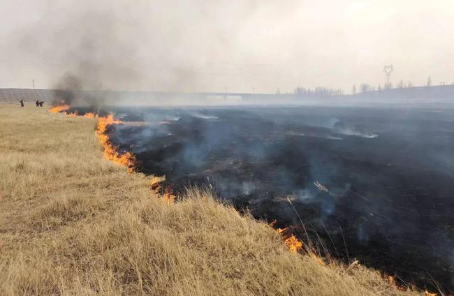 会不会又背锅?蒙古国草原大火蔓延至中国境内,污染又出现了
