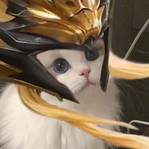 马超神威 王者猫猫头