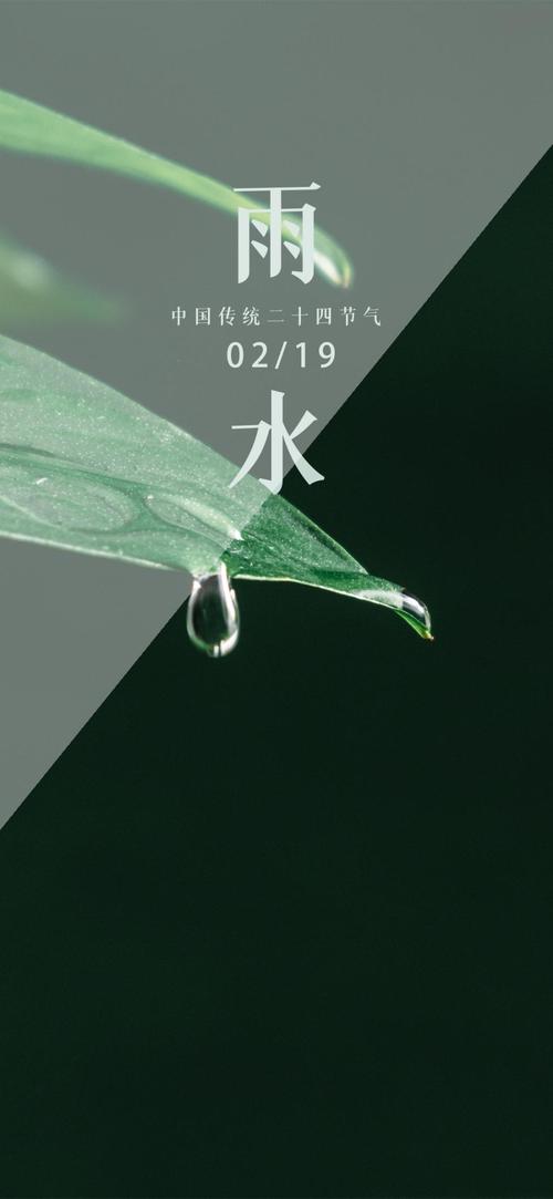 中国传统24节气雨水手机海报