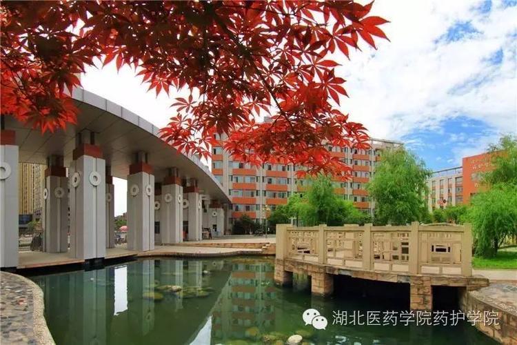 湖北医药学院药护学院