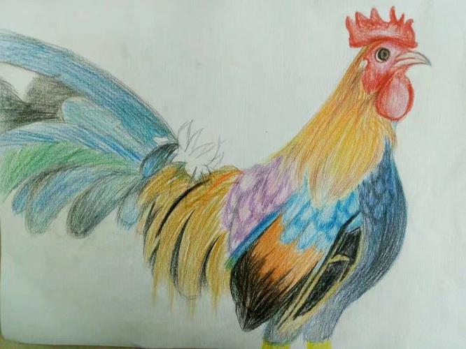 彩铅临摹8k,用时4小时,女儿小学5年级画的.