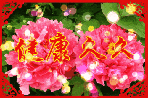 正月初九,长长久久的祝福送给你,请收下!愿你2019好运