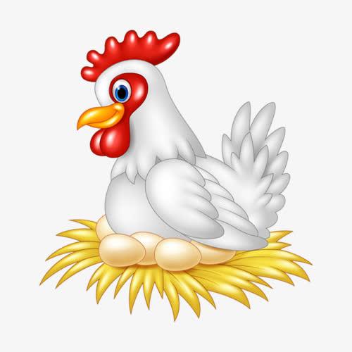 关键词 : 母鸡,公鸡,孵蛋,卡通