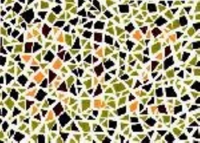 色盲色弱测试图大全16张色盲色弱测试图