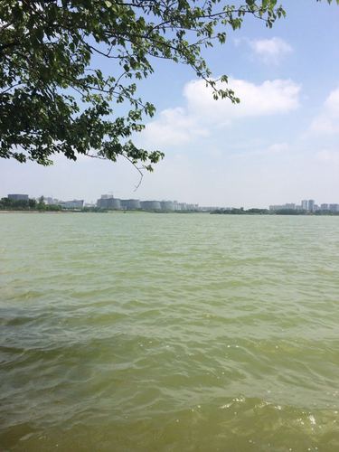 徐州大龙湖好玩吗,徐州大龙湖景点怎么样_点评_评价【携程攻略】