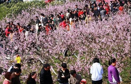 黛眉山2019三月桃花节邀您共赏三月美景