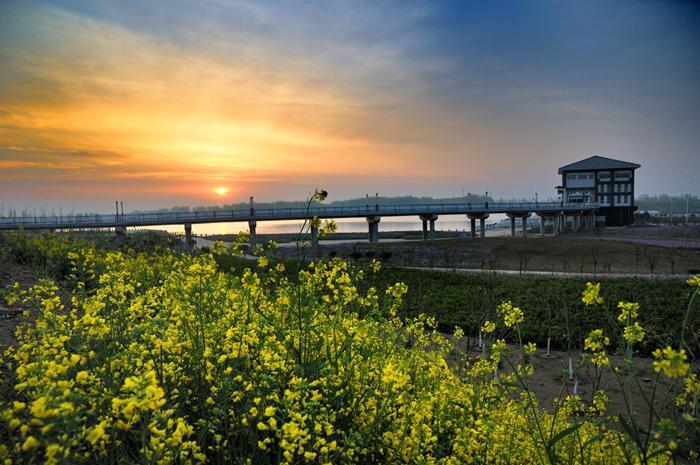 data-lemmaid="154268">江苏 /a>徐州邳州市官湖镇北