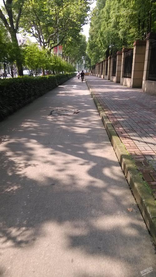 洒满阳光的早上