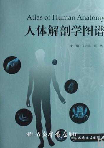 人体解剖学图谱
