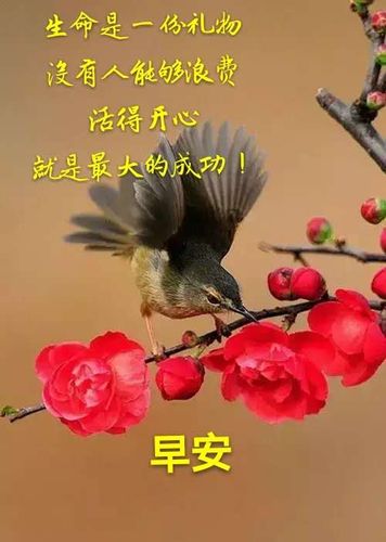 早安祝福图片集锦