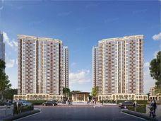 【阳光城】聊城阳谷阳光城什么时候开盘?